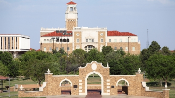 texas tech common app essay