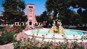 diversity essay a&m
