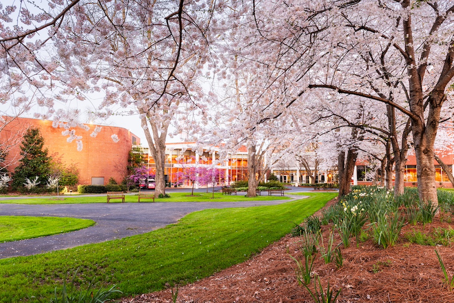 college campus in the spring-time at dusk