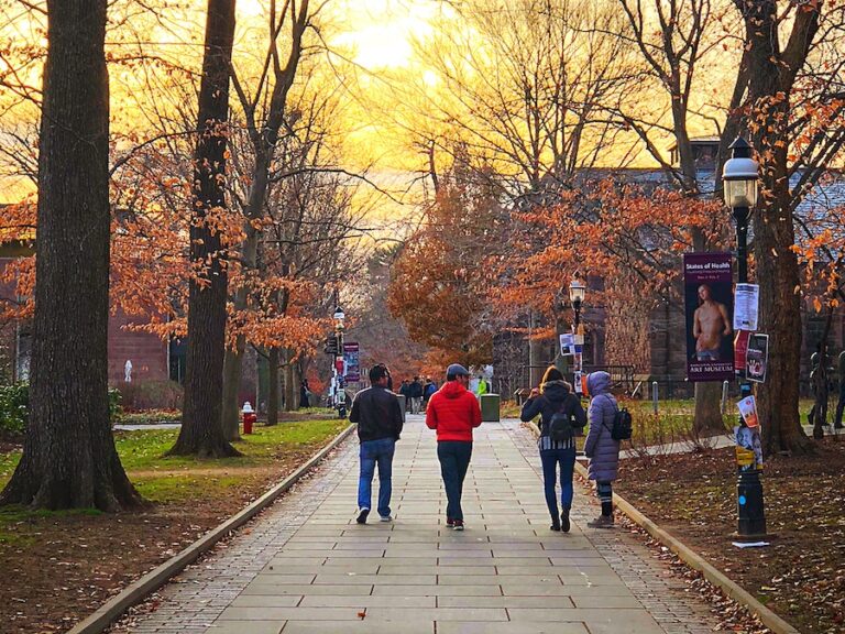 Top Feeder Schools for Business Students 2024 Guide Ivy Scholars