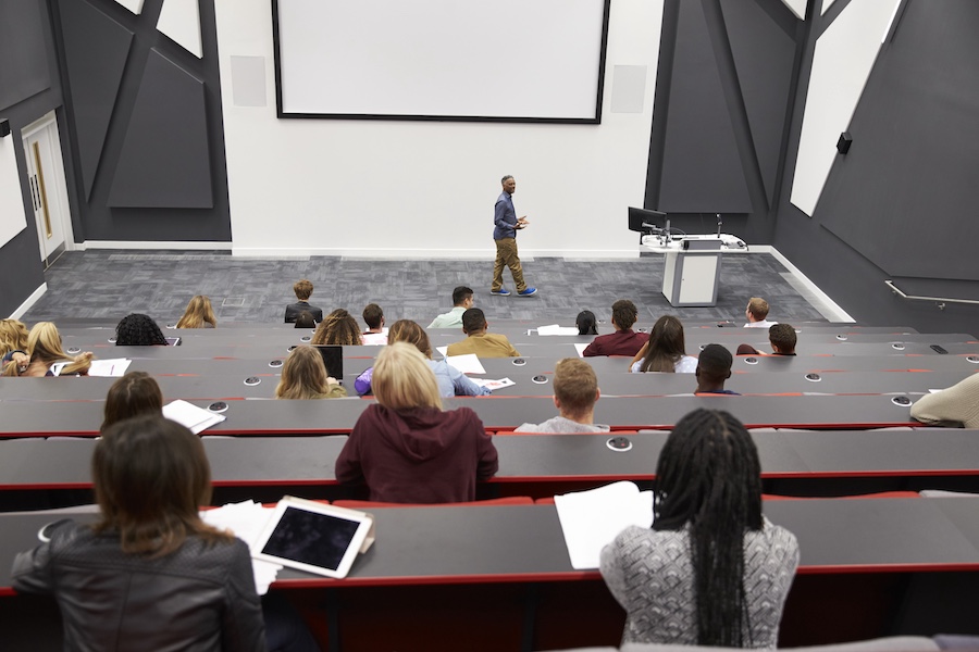 What are your Business Options at Top 20 Colleges?